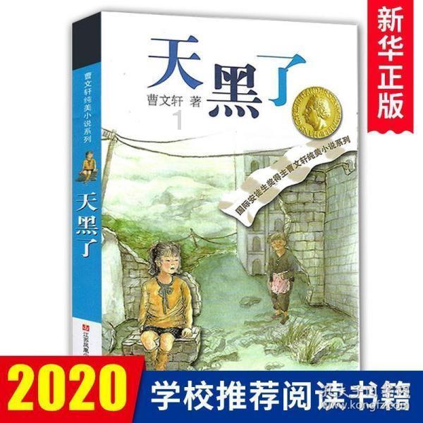 异次元战姬